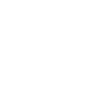 API Chemi
